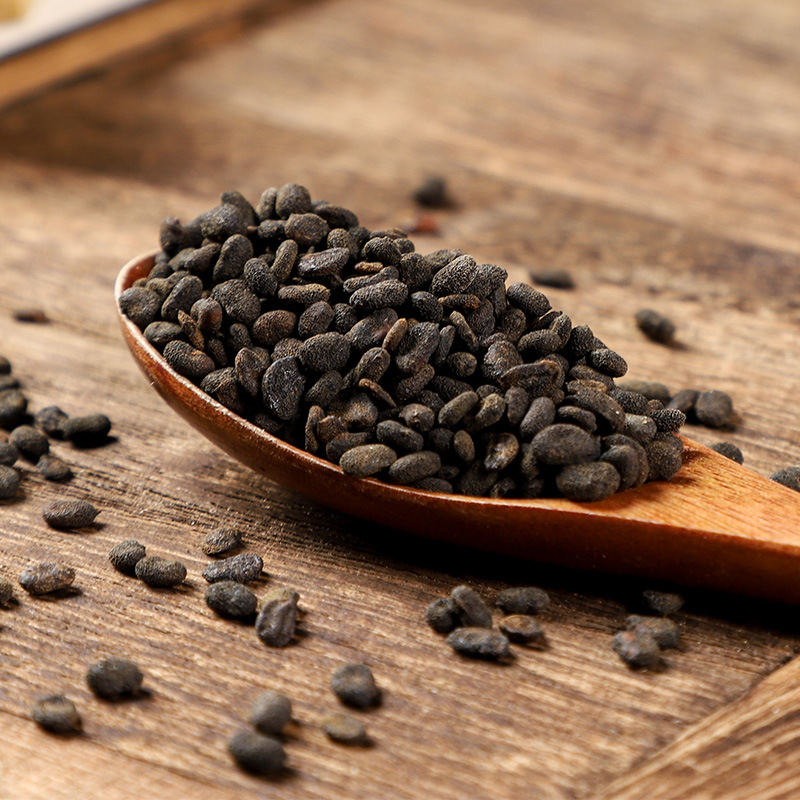 Bu Gu Zhi (Psoralea corylifolia) — Prepared Psoralea Seeds, Food Herb for Decoction & Powder - Image 4