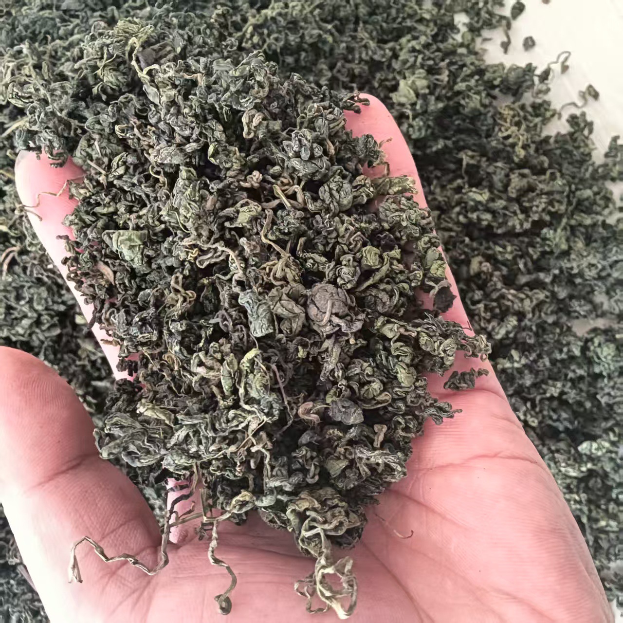 Wild Jiaogulan Tea Gynostemma Pentaphyllum 500g Bitter Seven Leaf and Sweet Five Leaf Buds Dried Loose Herbal Tea - Image 4