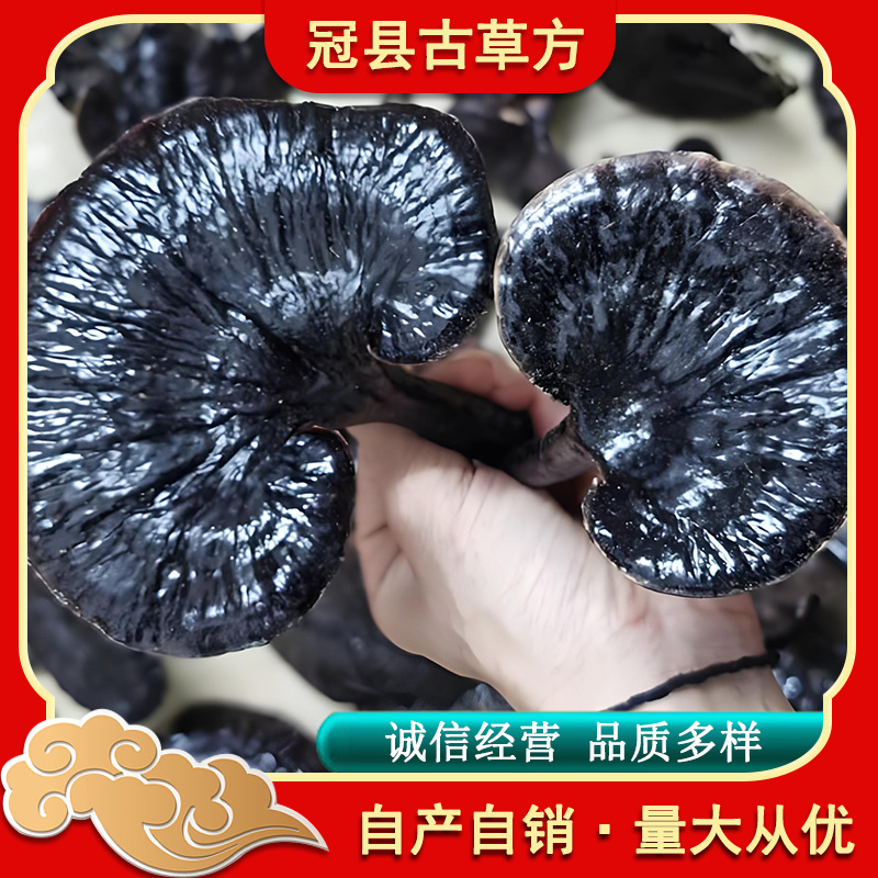Black Reishi Mushroom Dried Slices Rich Mushroom Aroma for Tea Wine and Soup - Image 3
