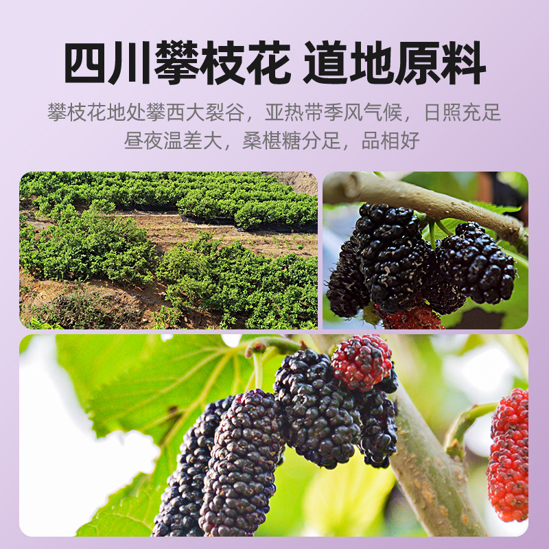 Dried Mulberry Fruit 250g Jar Hand Selected Large First Harvest Mulberries for Tea and Wine - Image 3