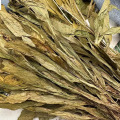 Jian Xue Qing (见血清) Dried Herbal Material — Traditional Chinese Herb, 500g - Image 4