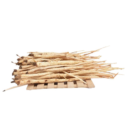 Bei Sha Shen (Glehnia littoralis) — Wild-Dried Sulfur-Free Coastal Glehnia Root, 500g - Image 5