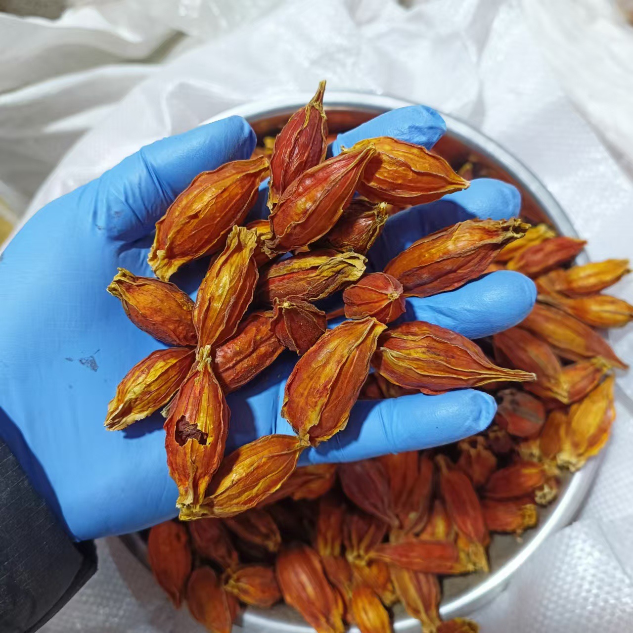 Dried Gardenia Fruit Zhi Zi 500g Red Gardenia Jasminoides for Herbal Tea and Decoction - Image 3