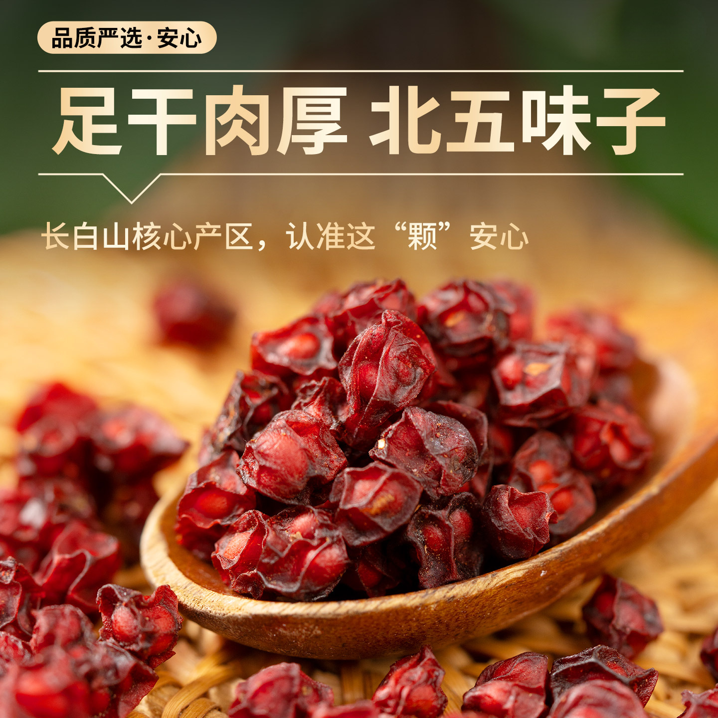 Dried Schisandra Berries Wu Wei Zi Whole Herb for Tea and Decoction 450g Jar - Image 2