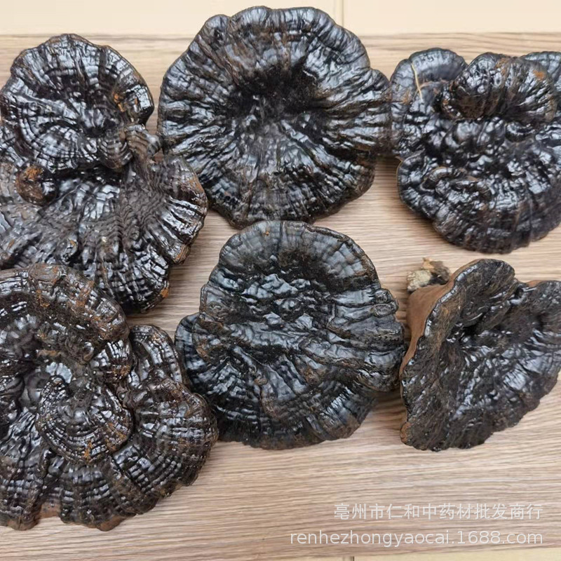 Changbai Mountain Black Reishi Lingzhi Whole Dried Mushroom Traditional Herbal Decoction - Image 4