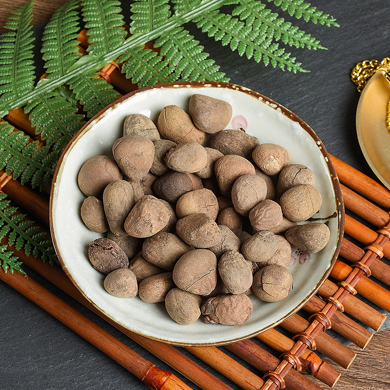 Da Feng Zi (Hydnocarpus anthelminticus) — Dried Chaulmoogra Seeds, Raw Herb Supply - Image 3