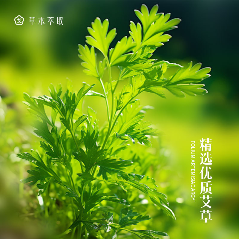 Mugwort Damp Clearing Cream Ointment Warming Herbal Balm for Neck Shoulder Waist and Legs 250g - Image 3