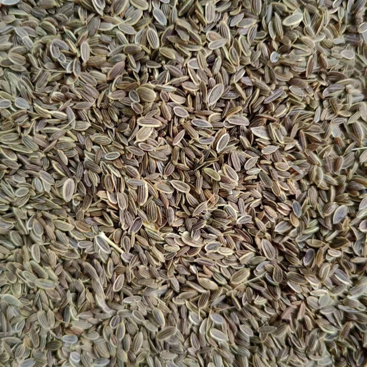 Qian Li Xiang (Murraya paniculata) — Dried Aromatic Herb for Braised Dishes & Spice Blends - Image 5