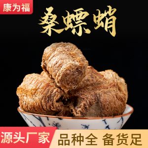 Sang Piao Xiao (Mantis Egg-Case) — Dried TCM Herb, Naturally Sun-Dried, Sichuan Origin
