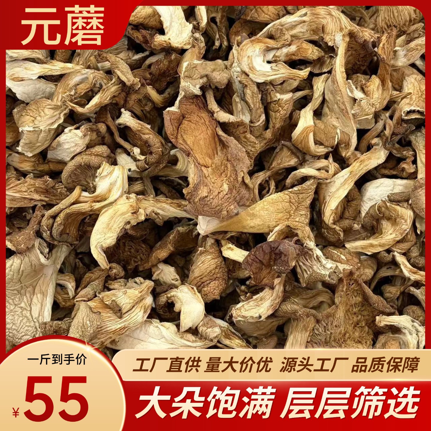 Dried Yuanmo Mushroom Whole Wild Forest Mushroom for Soup and Stew 500g - Image 3