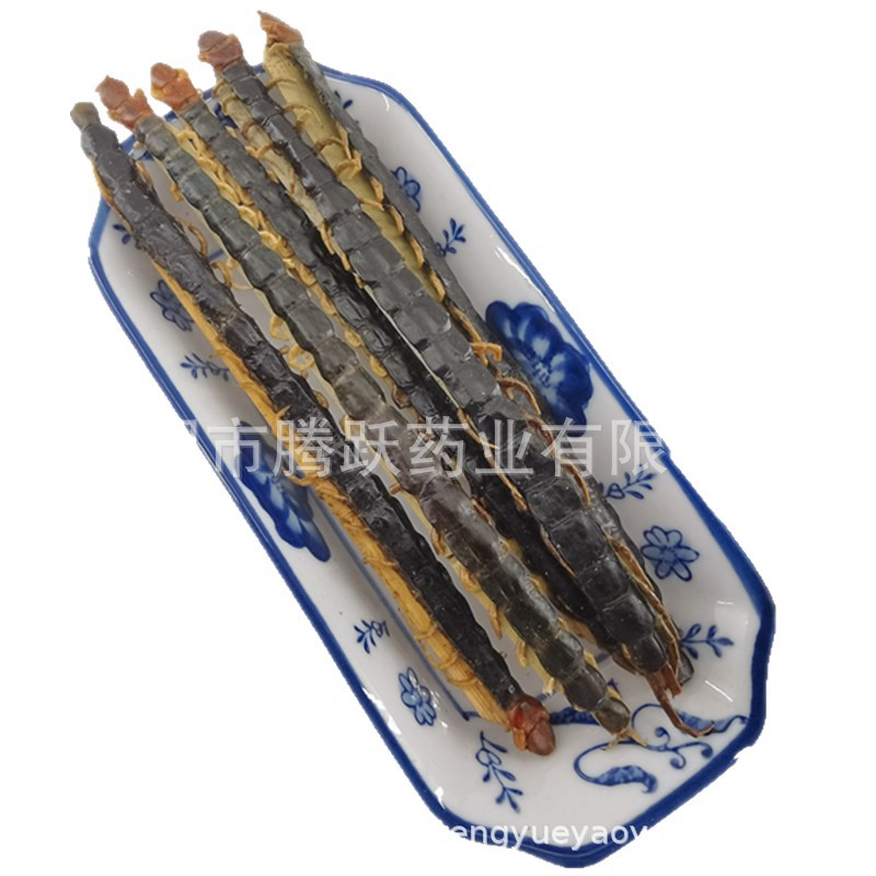 Dried Whole Centipede Wu Gong 500g Chinese Herbal Material Scolopendra Subspinipes Mutilans - Image 5