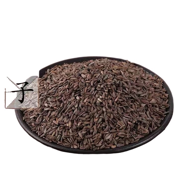 Great Burdock Seed 500g Niubangzi Dried Arctium Fruit Slices for Herbal Tea and Decoction - Image 2
