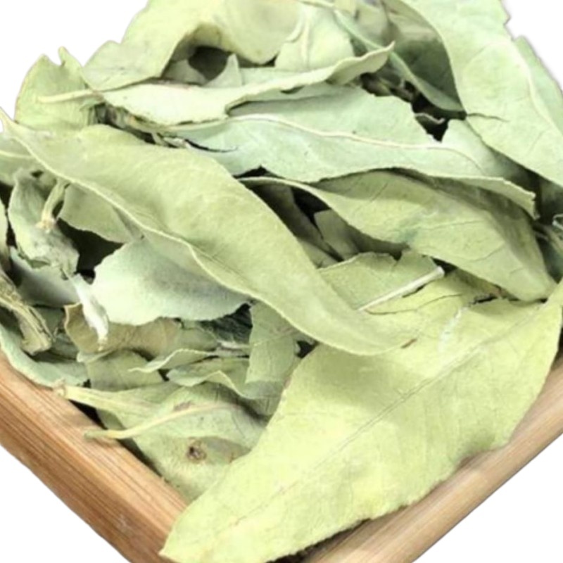 Luo Bu Ma Apocynum Tea Leaves 500g Dried Luobuma Herbal Leaf Tea for Daily Brewing - Image 3