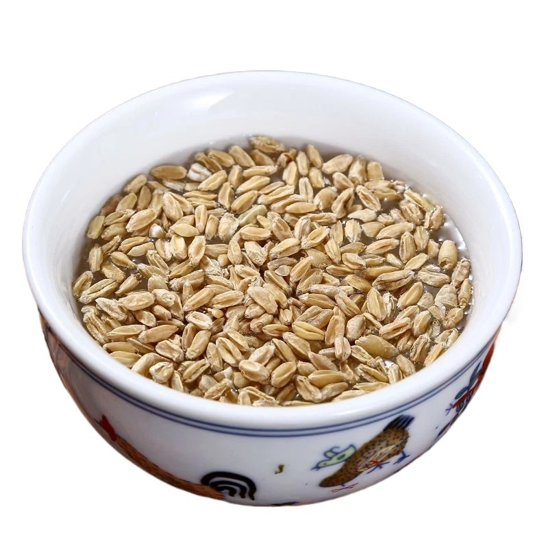 Fu Xiao Mai Floating Wheat 500g Dried Triticum aestivum Herbal Tea Grain - Image 2