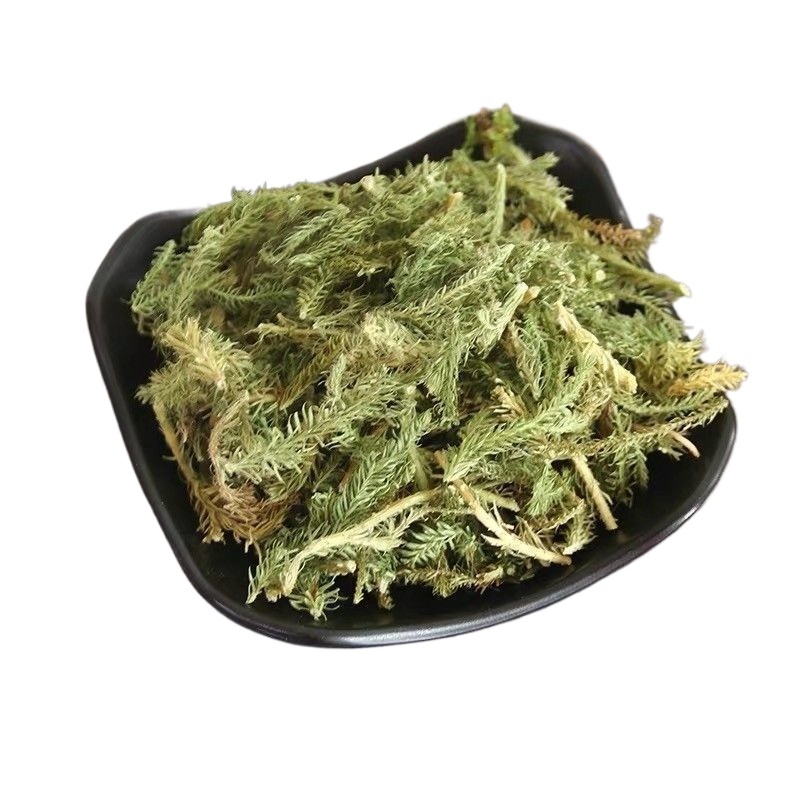 Dried Shen Jin Cao 伸筋草 500g Sliced Lycopodium Herb for Traditional Decoctions and Herbal Tea - Image 4