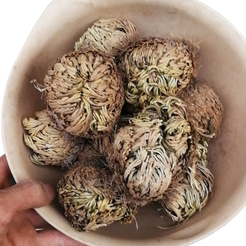 Dried Selaginella Juan Bai 500g Whole Herb Traditional Chinese Herbal Tea Material - Image 2