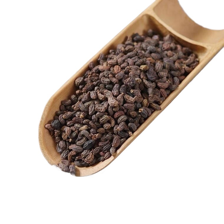 Glossy Privet Fruit Nuzhenzi 500g Dried Ligustrum lucidum Berries for Tea Wine and Herbal Decoction - Image 4