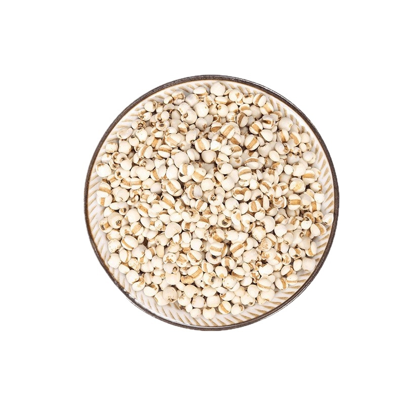 Coix Seed Yi Yi Ren 500g Dried Job's Tears Sliced Chinese Herbal Grain for Soup Congee and Tea - Image 5