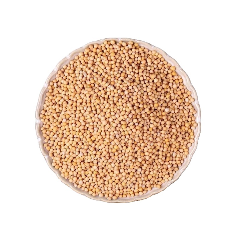 White Mustard Seed Bai Jie Zi 500g Dried Semen Sinapis Albae Traditional Chinese Herb for Decoction and External Use - Image 5