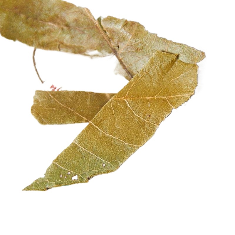 Dried Loquat Leaf Pi Pa Ye 500g Sliced Chinese Herbal Tea Leaves for Daily Brewing - Image 4