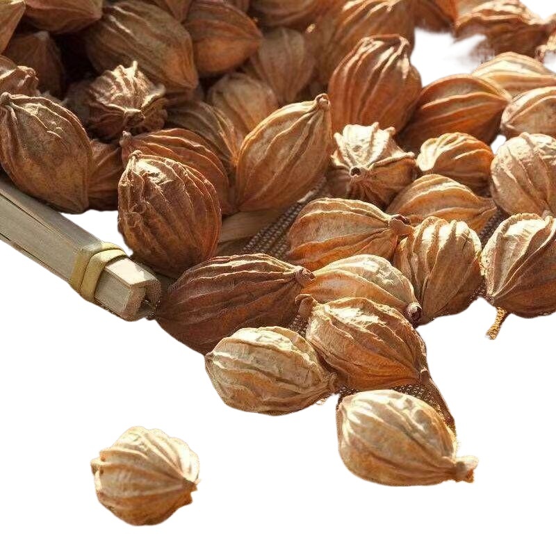 Amomum Fruit Sha Ren 500g Dried Sliced Herb for Braising Hotpot and Stewed Meat Cooking - Image 4