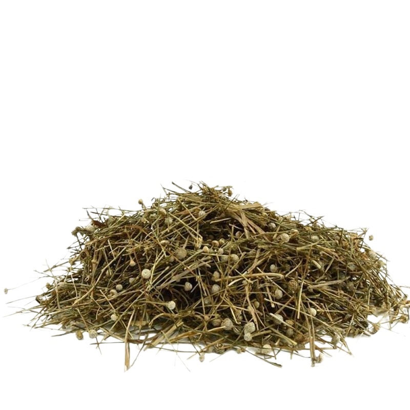 Dried Eriocaulon Buergerianum Gu Jing Cao 500g Whole Herb TCM Decoction Pieces for Traditional Herbal Tea and Decoctions - Image 5