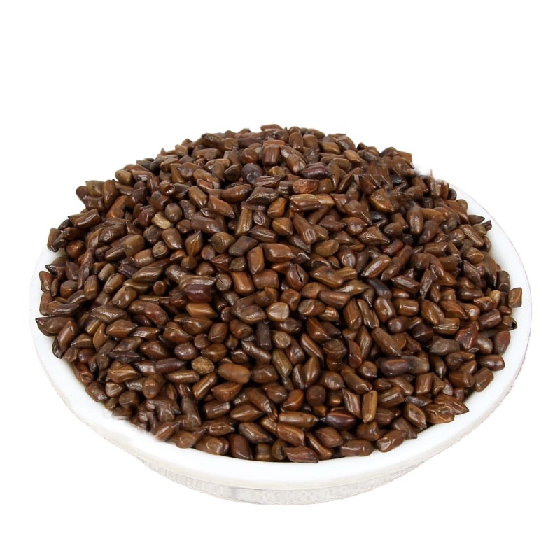 Cassia Seed 500g Jue Ming Zi Dried Herbal Tea Bulk Decoction Pieces - Image 2