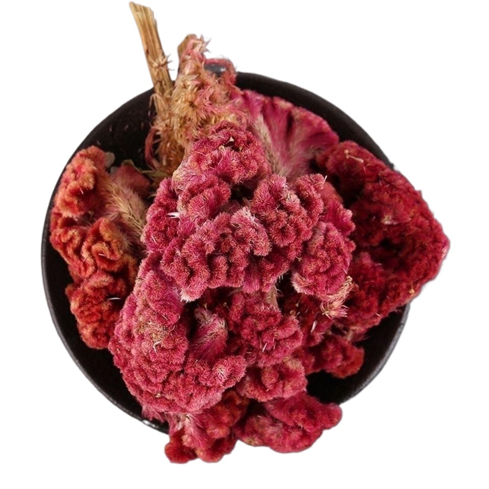 Dried Cockscomb Flower Ji Guan Hua Celosia Cristata Cut Herbal Tea Ingredient 1000g - Image 4