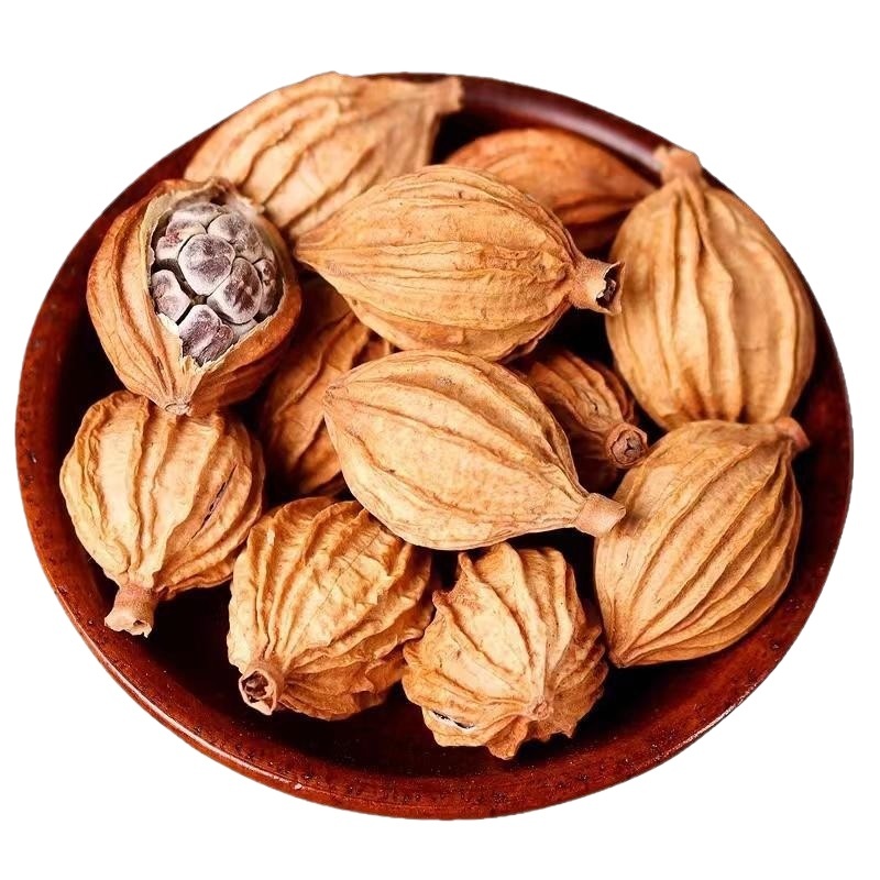 Amomum Fruit Sha Ren 500g Dried Sliced Herb for Braising Hotpot and Stewed Meat Cooking - Image 5