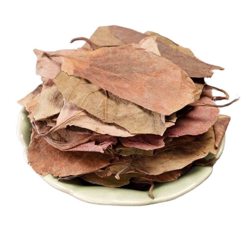 Dried Persimmon Leaf Shi Ye 500g Sun Dried Persimmon Leaves for Herbal Tea - Image 3