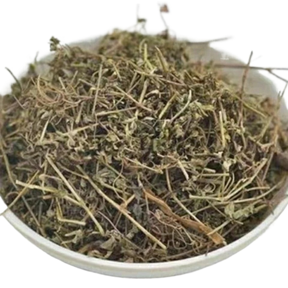 Dried Euphorbia Humifusa Di Jin Cao 500g Sliced Creeping Euphorbia Herb for Traditional Decoctions - Image 3