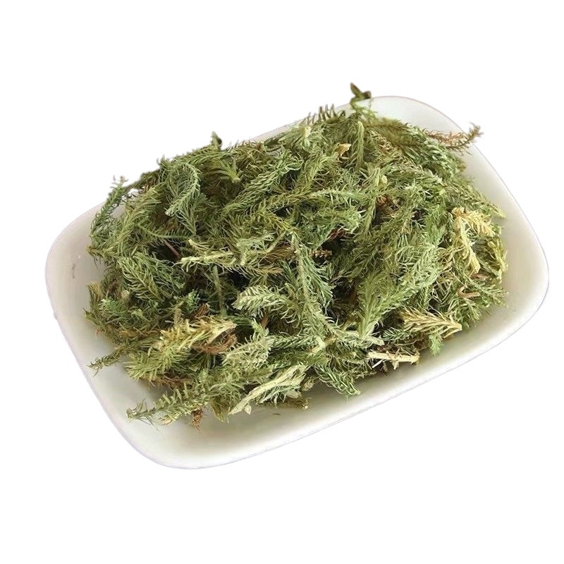 Dried Shen Jin Cao 伸筋草 500g Sliced Lycopodium Herb for Traditional Decoctions and Herbal Tea - Image 3