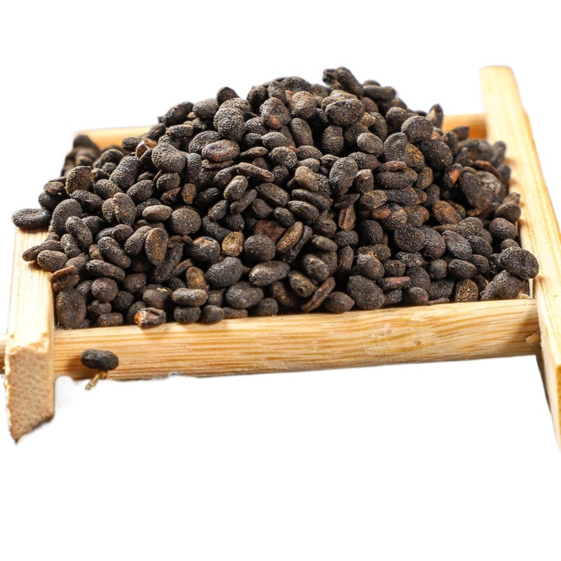 Bu Gu Zhi Psoralea Fruit 500g Dried Chinese Herbal Seeds for Decoction and Tea - Image 2