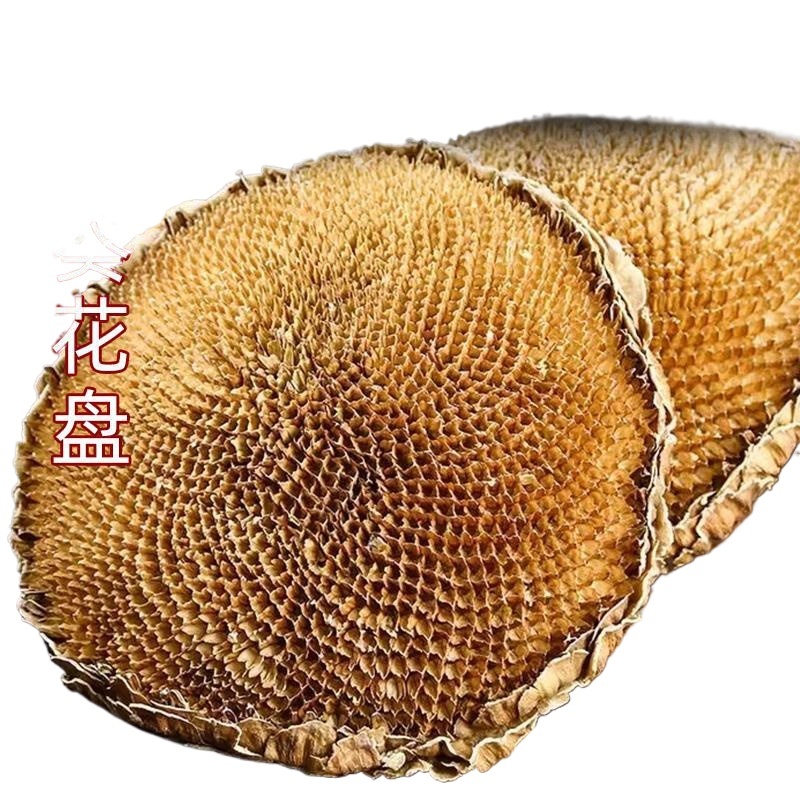 Dried Sunflower Flower Disc Kui Hua Pan 100g Sliced Herbal Material for Decoction and Tea - Image 2