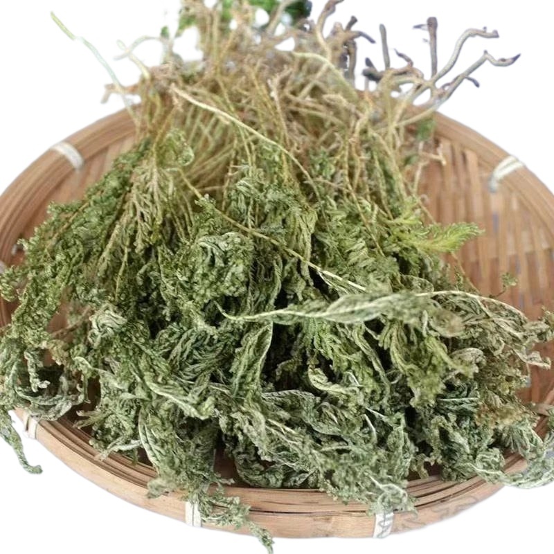 Shi Shang Bai Dried Selaginella Herb 500g Sliced Whole Plant for Decoction and Tea - Image 4
