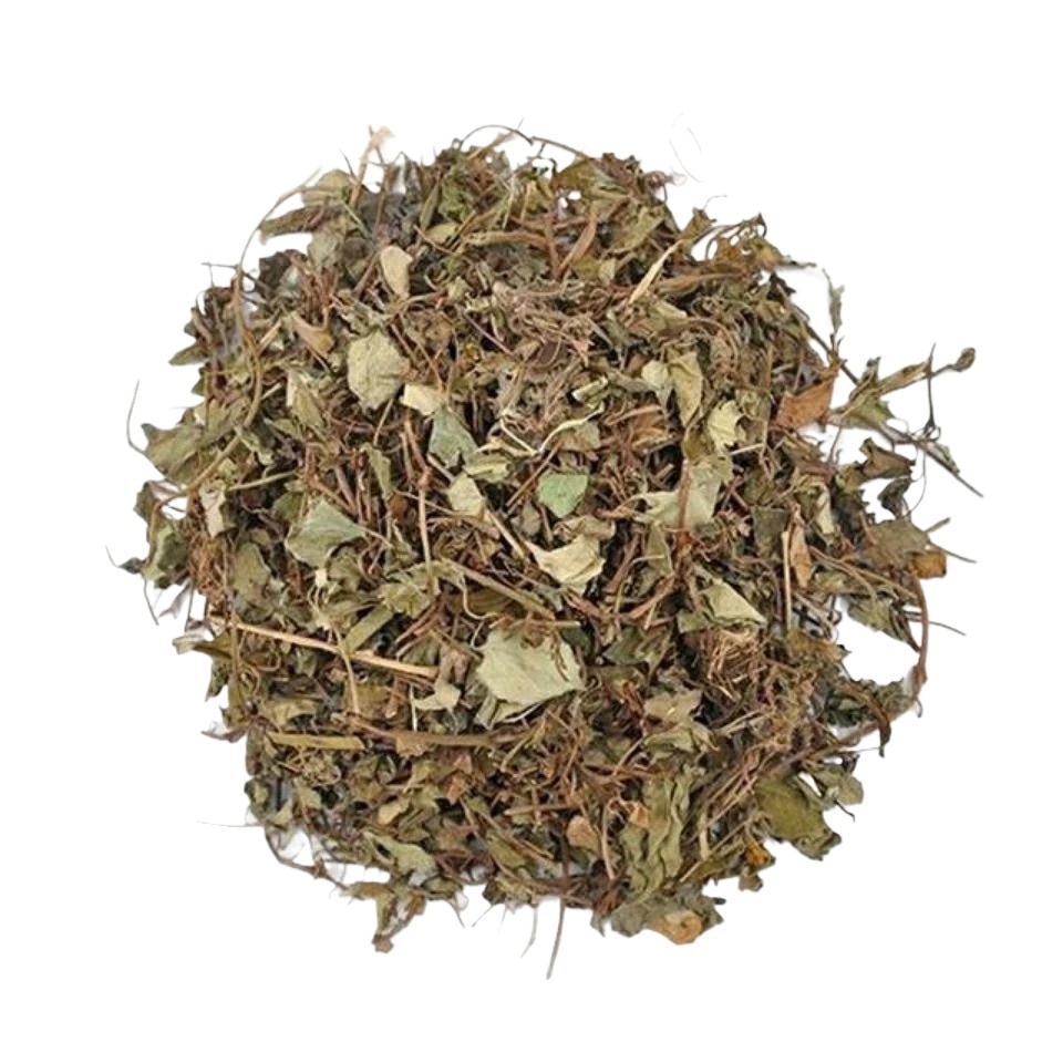 Dried Jin Qian Cao 金钱草 Loose Herb Slices for Traditional Tea and Decoction 500g - Image 5