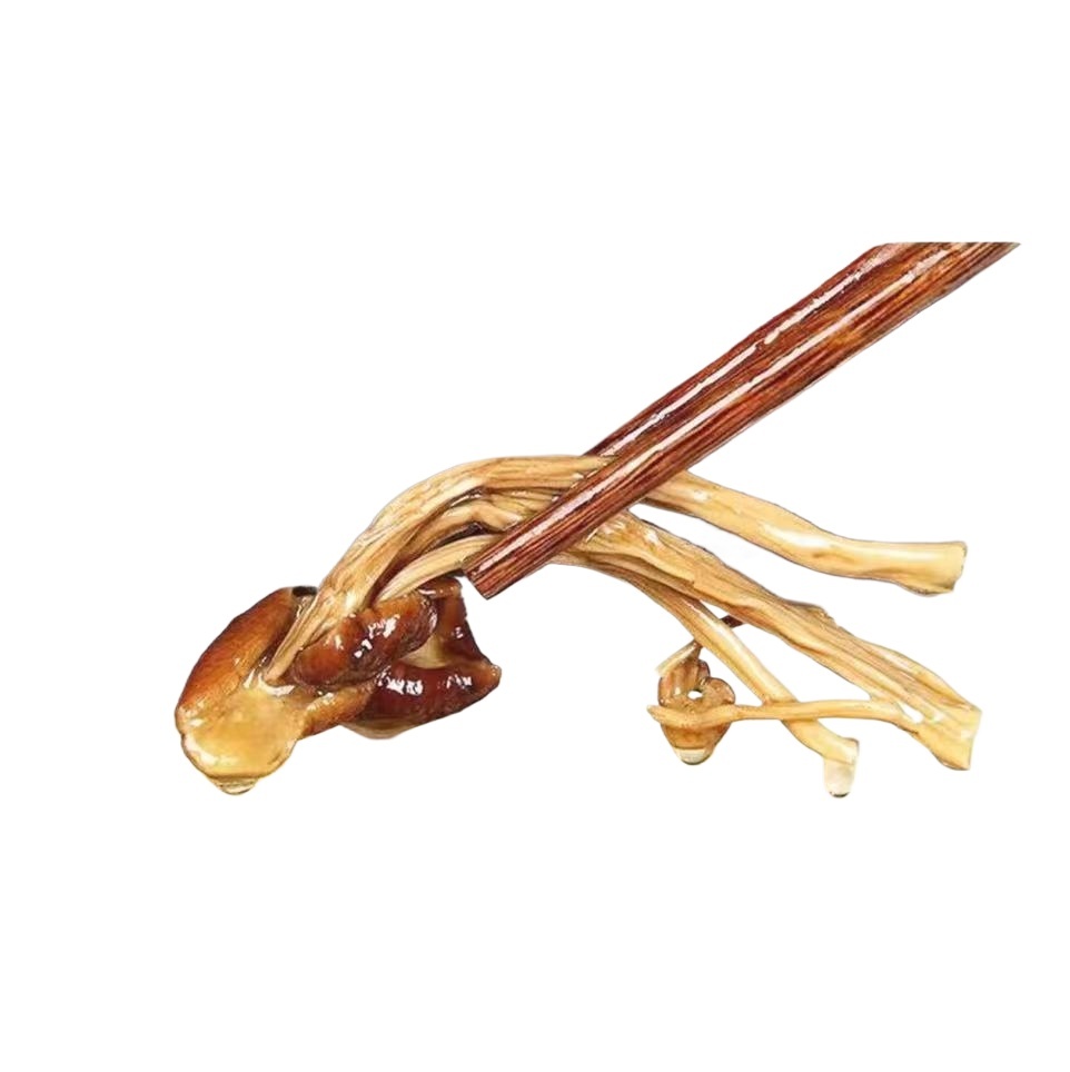 Dried Tea Tree Mushroom Cha Shu Gu Agrocybe cylindracea Sun-Dried Culinary Mushrooms for Soups and Stir-Fries 100g - Image 2