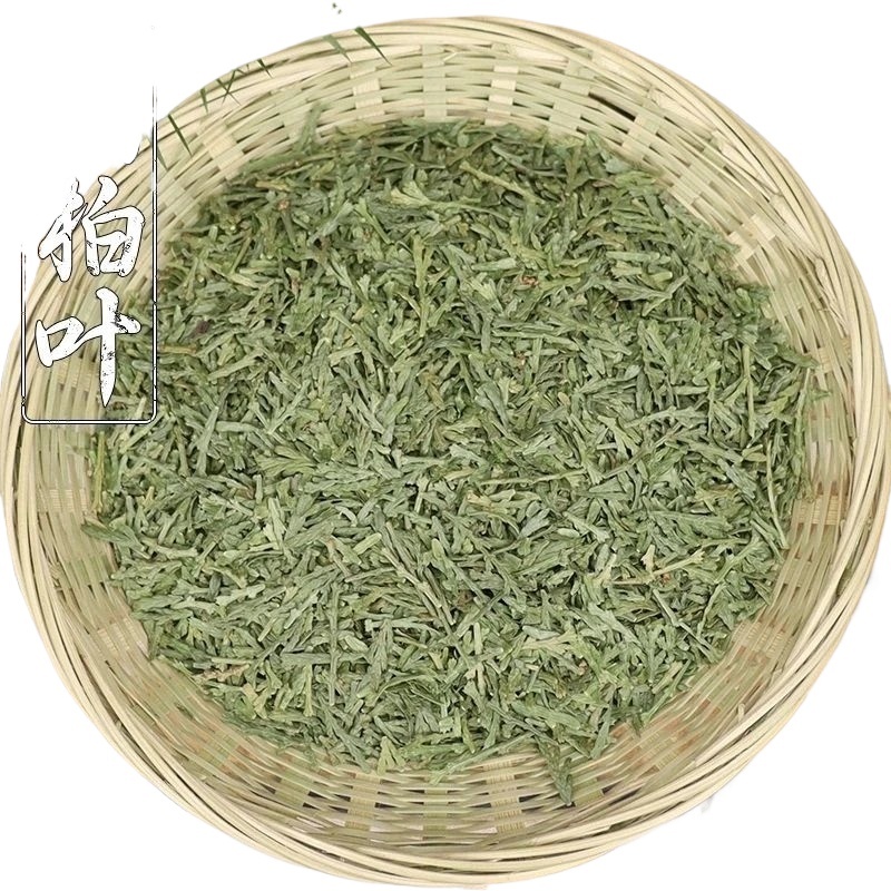 Dried Cacumen Platycladi Leaf 500g Cebai Ye Sun Dried Chinese Herb for Decoction and External Wash - Image 2