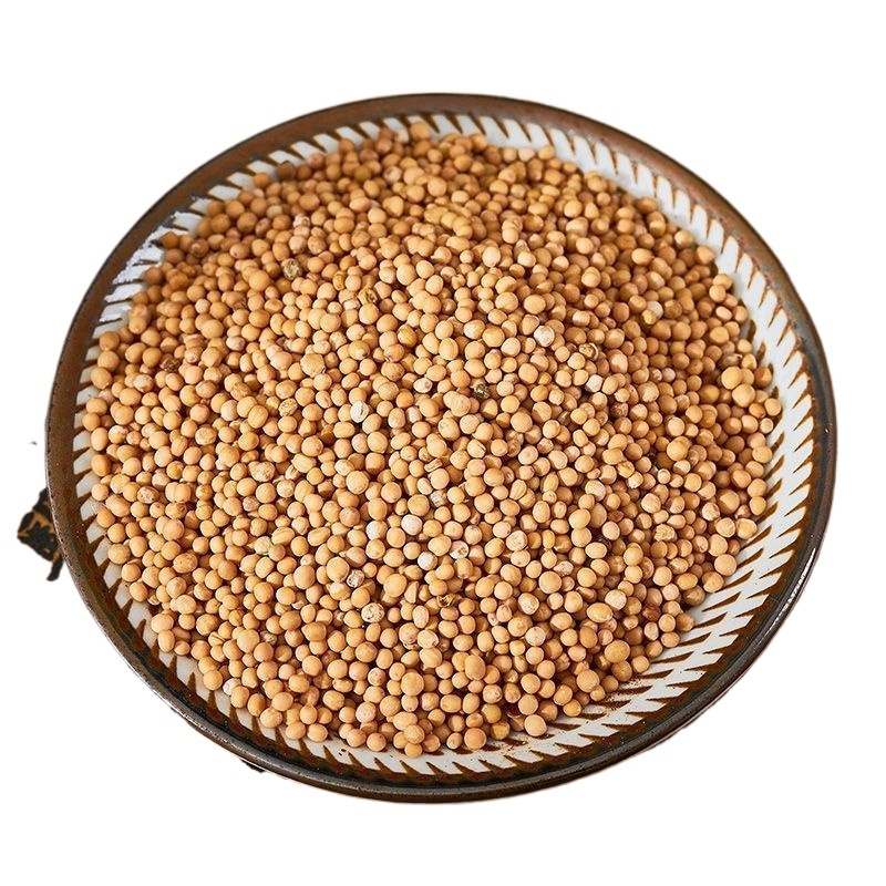 White Mustard Seed Bai Jie Zi 500g Dried Semen Sinapis Albae Traditional Chinese Herb for Decoction and External Use - Image 3