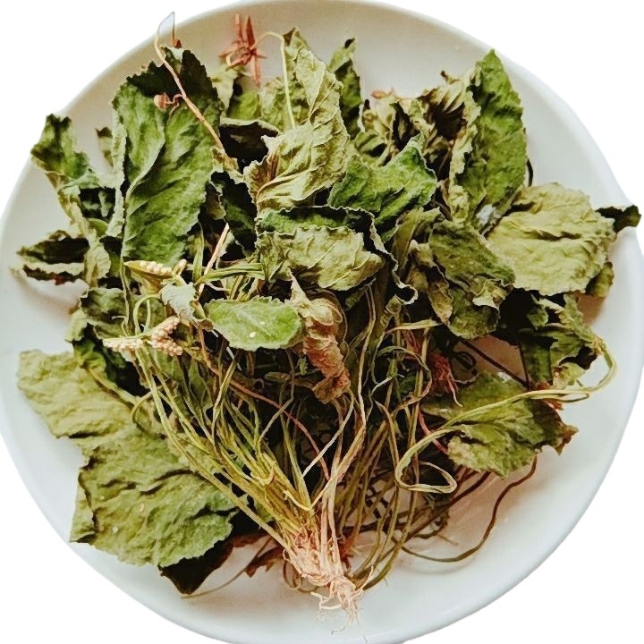 Viola Herb Zi Hua Di Ding 500g Dried Whole Herb for Decoction and Tea - Image 5