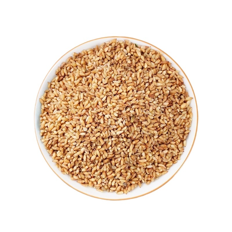 Platycladus Seed Bai Zi Ren 1000g Dried Platycladus orientalis Seeds for Herbal Decoction - Image 5