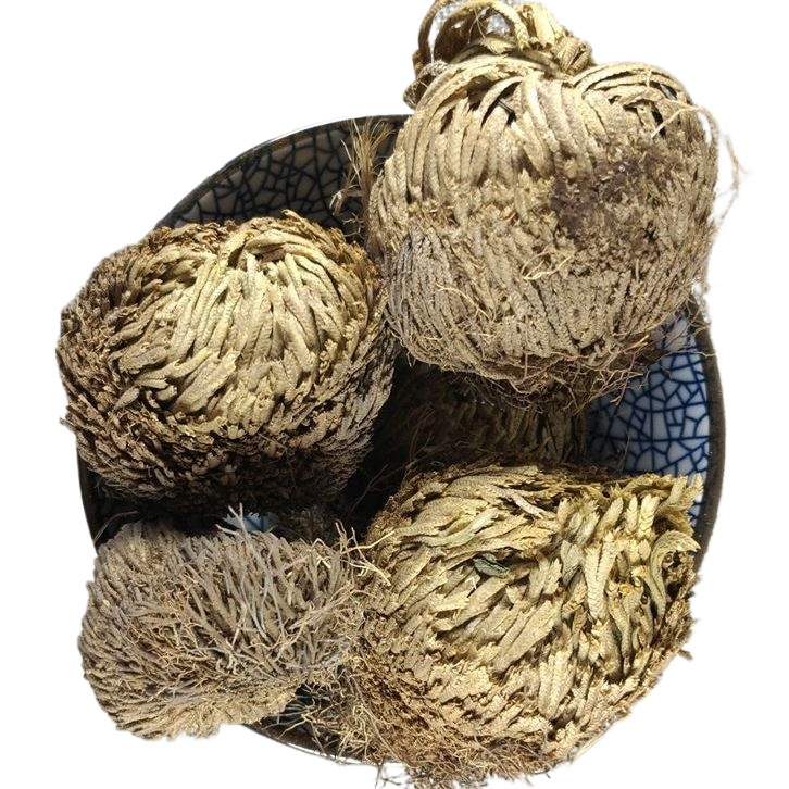 Dried Selaginella Juan Bai 500g Whole Herb Traditional Chinese Herbal Tea Material - Image 3
