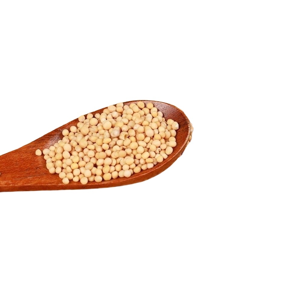 White Mustard Seed Bai Jie Zi 500g Dried Semen Sinapis Albae Traditional Chinese Herb for Decoction and External Use - Image 2