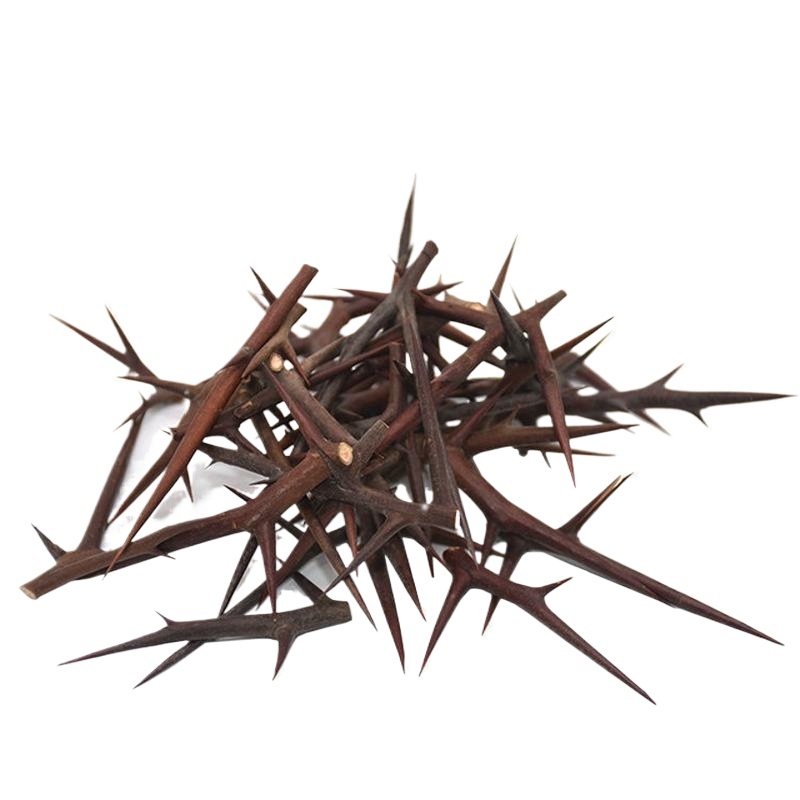 Dried Gleditsia Thorn Slices Zao Jiao Ci 500g Traditional Chinese Herbal Decoction Pieces - Image 3