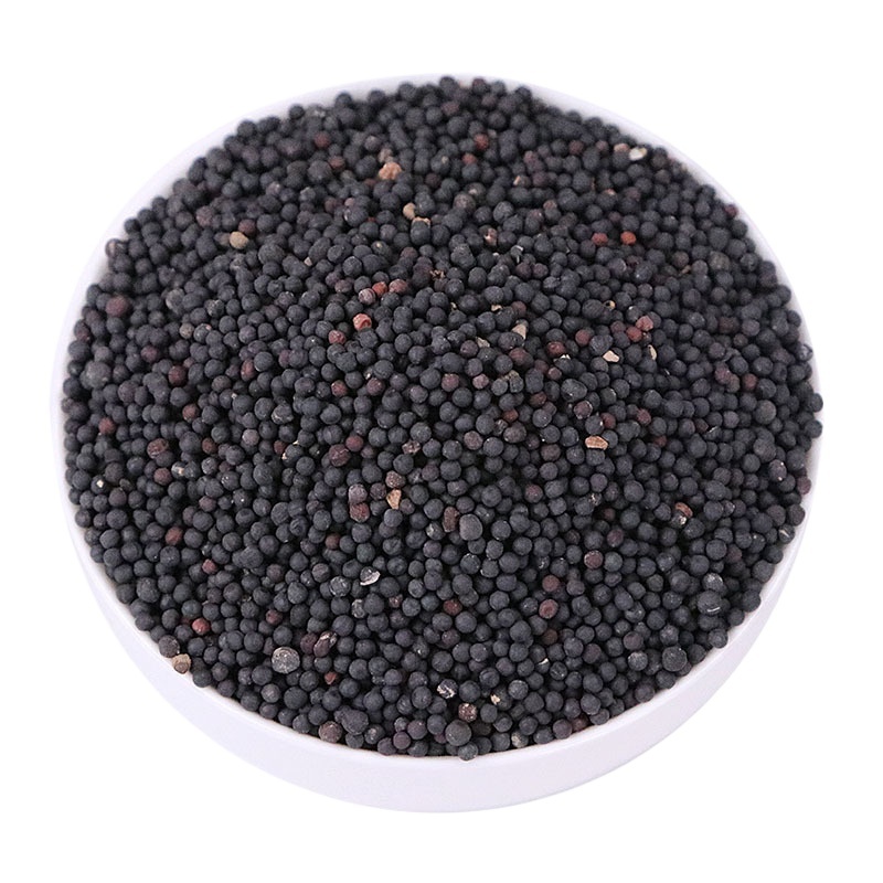 Wang Bu Liu Xing Cowherb Seeds 500g Dried Vaccaria Segetalis Raw Herb for Decoction and Traditional Use - Image 4