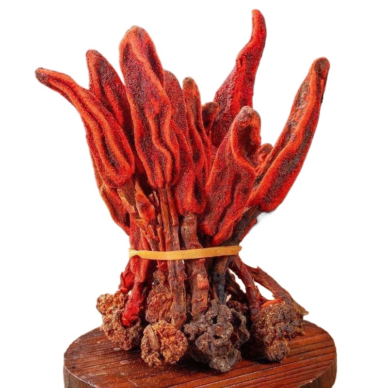 Hui Chun Cao Dried Herb 500g Huichuncao Bu Lao Cao Traditional Chinese Herbal Slices - Image 2