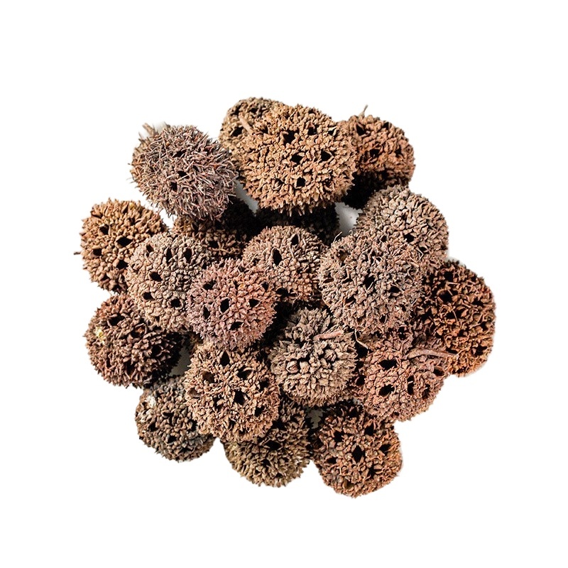Lulutong Sweetgum Fruit 500g Dried Liquidambar Fructus Traditional Chinese Herb for Decoction and Herbal Tea - Image 5