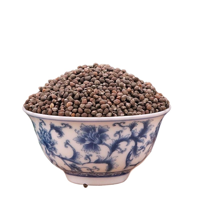 Perilla Seed Zi Su Zi 500g Dried Edible Herb for Tea Soup and Culinary Use - Image 4
