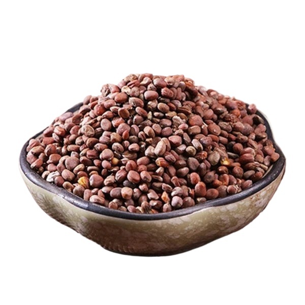 Raphanus Seed Lai Fu Zi 500g Dried Radish Seed for Tea and Decoction Raw Chinese Herb - Image 2