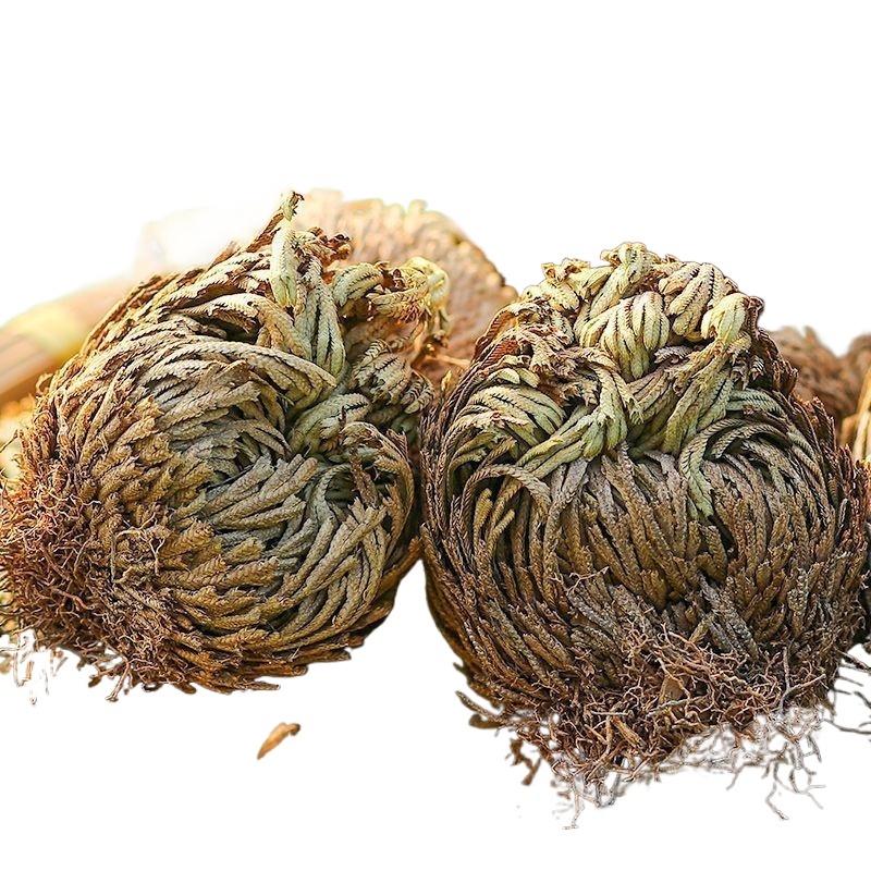 Dried Selaginella Juan Bai 500g Whole Herb Traditional Chinese Herbal Tea Material - Image 4